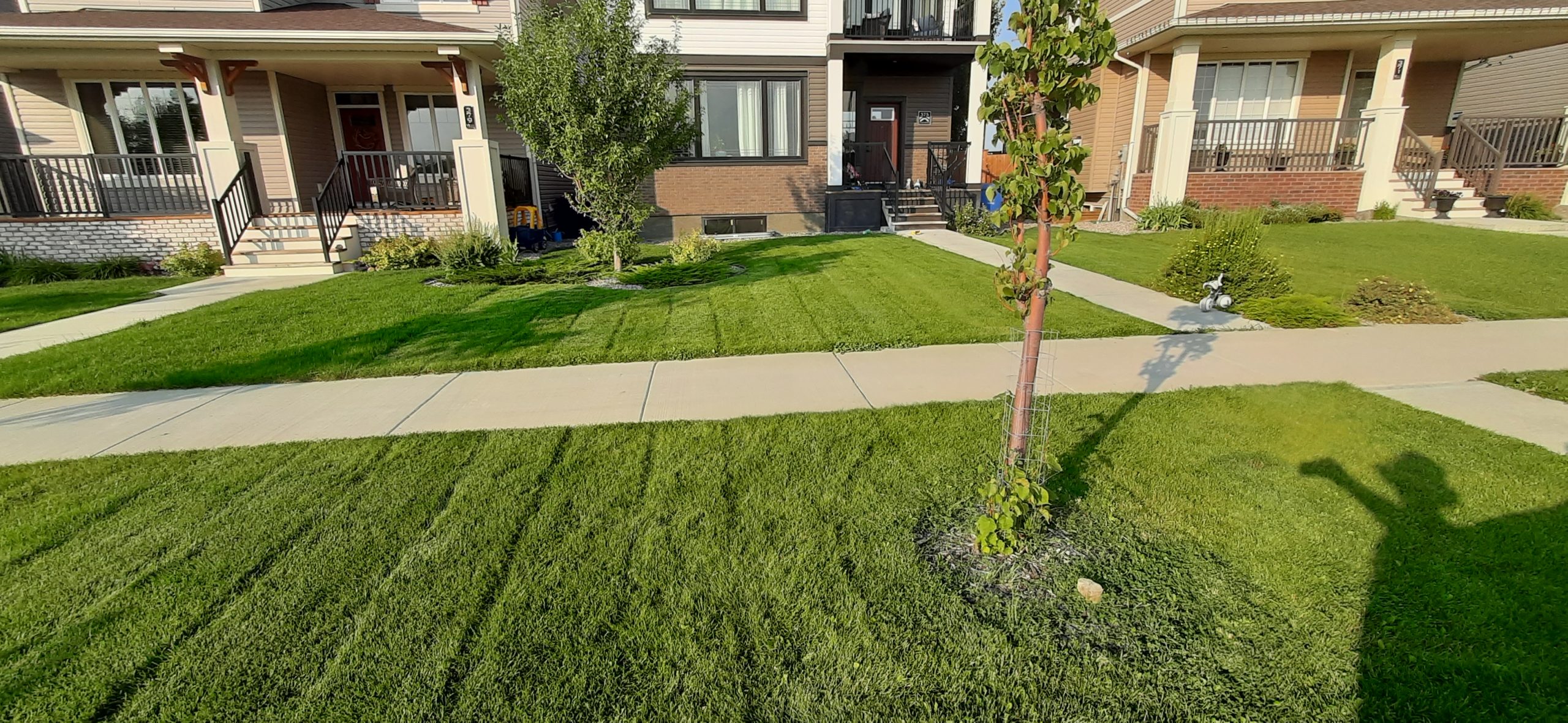 Residential Lawn Mowing