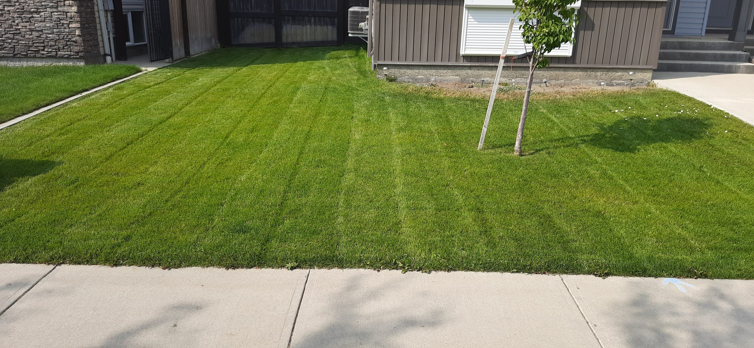 Residential Lawn Mowing