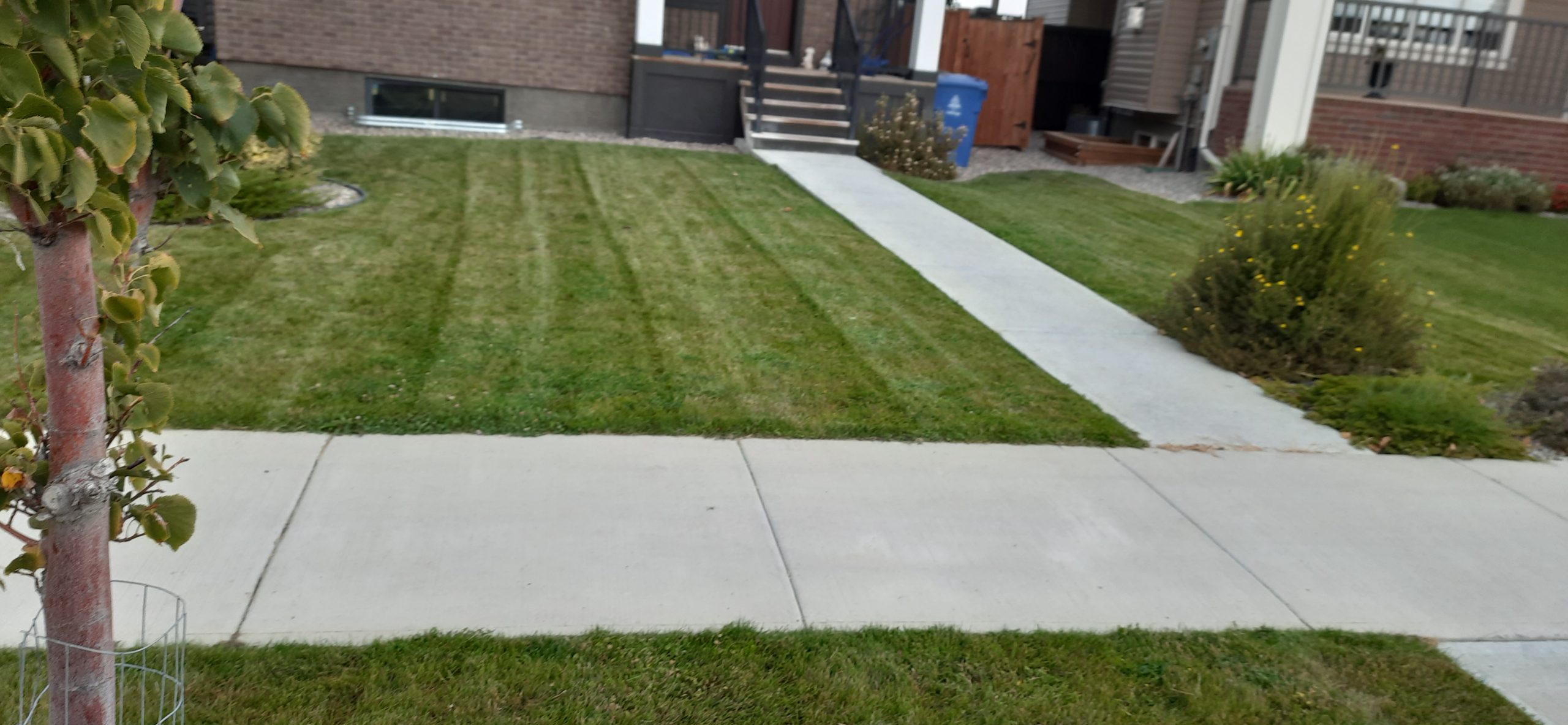 Residential Lawn Mowing