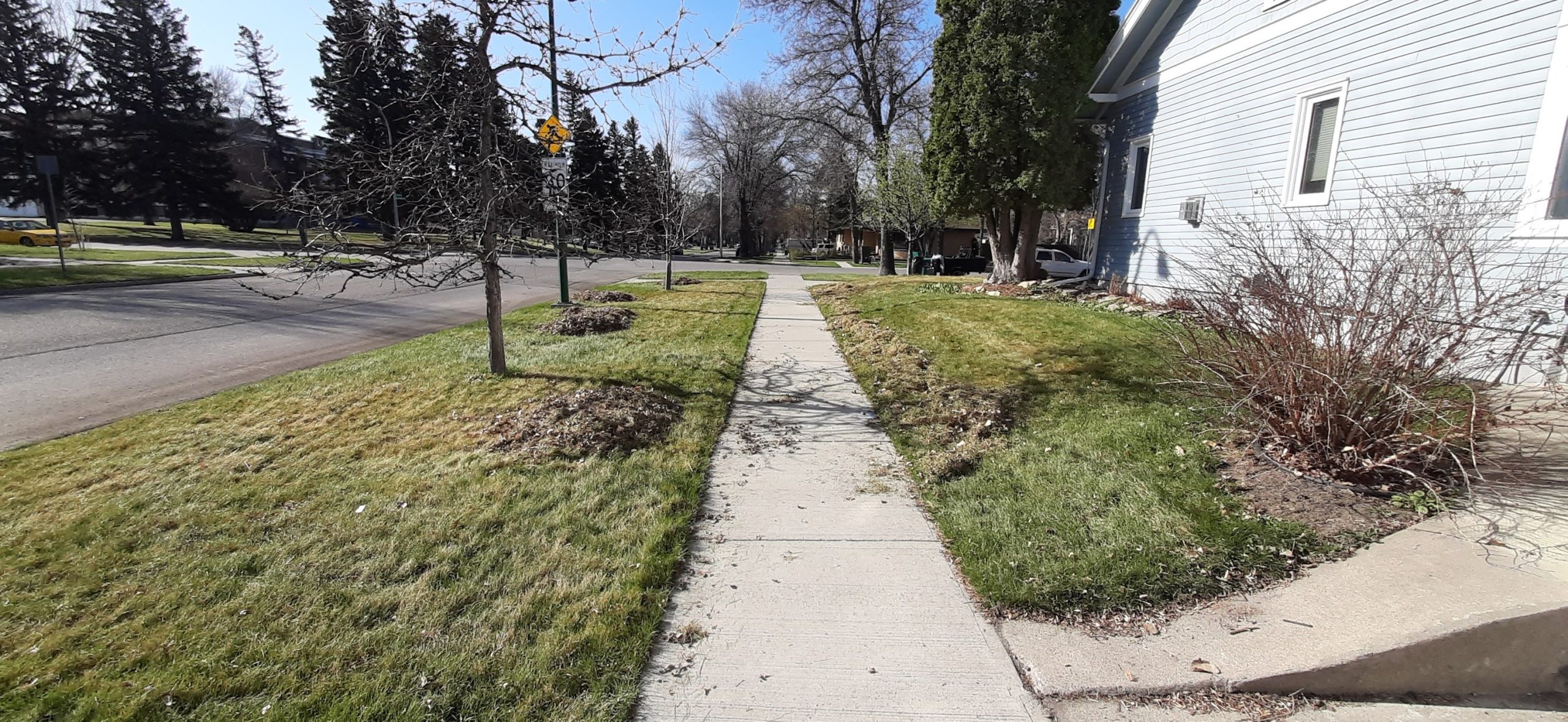 Spring & Fall Clean-Ups Process