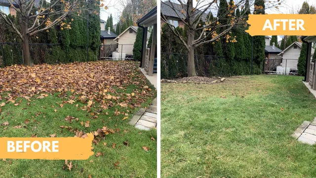 Spring & Fall Clean-Ups Before & After