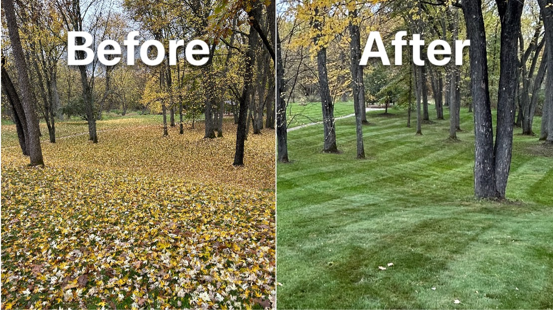 Spring & Fall Clean-Ups Before & After