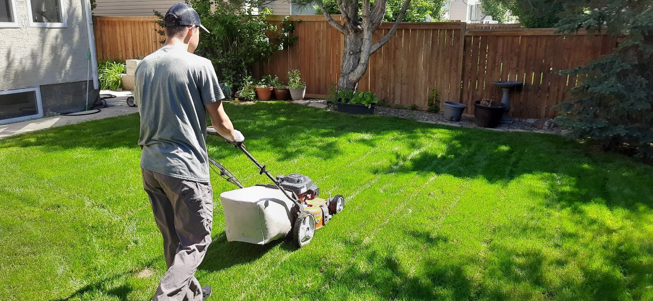 Residential Lawn Mowing