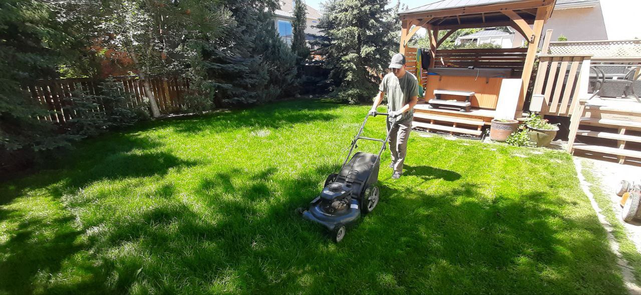 Residential Lawn Mowing