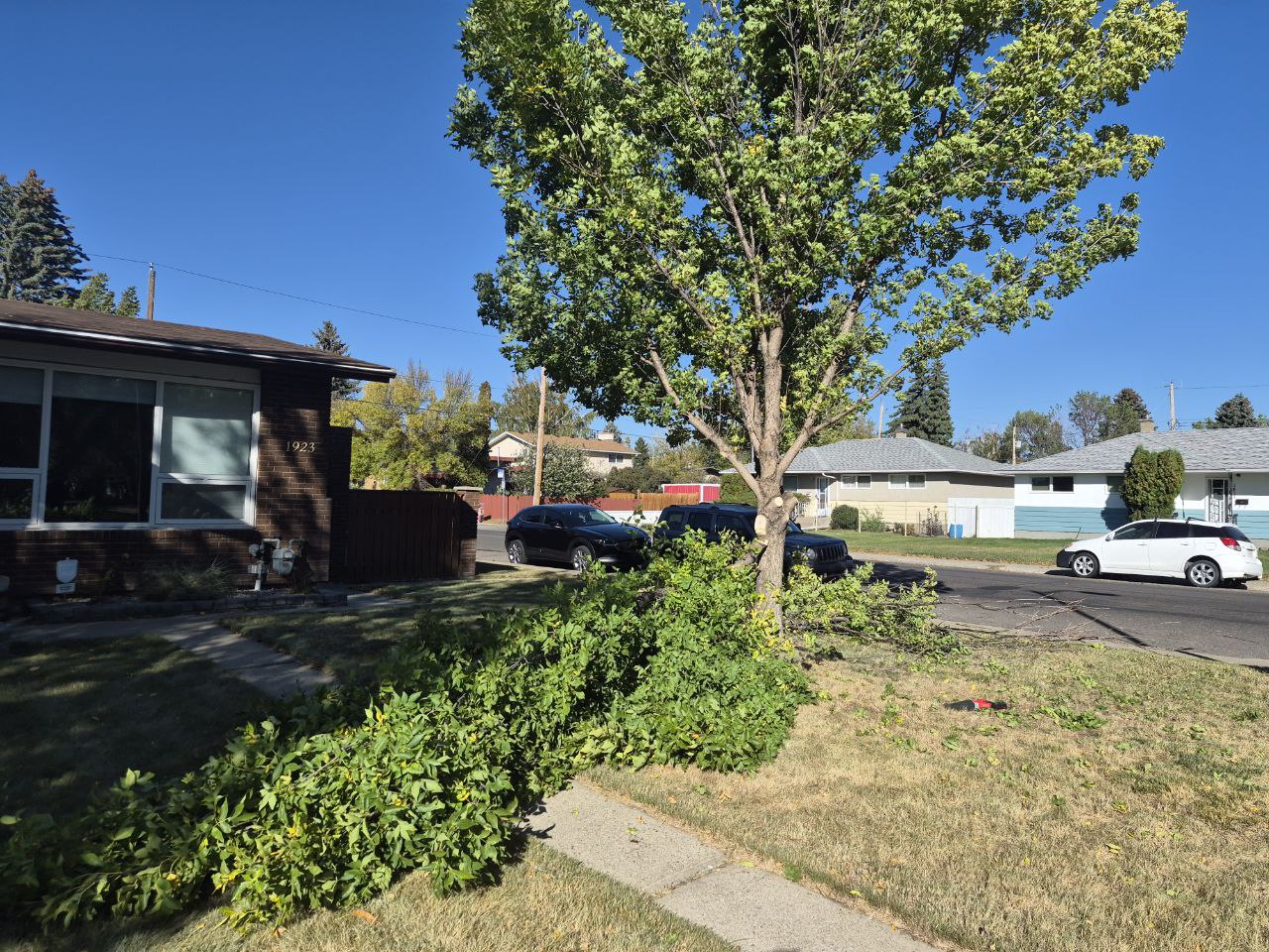 Spring & Fall Clean-Ups Process