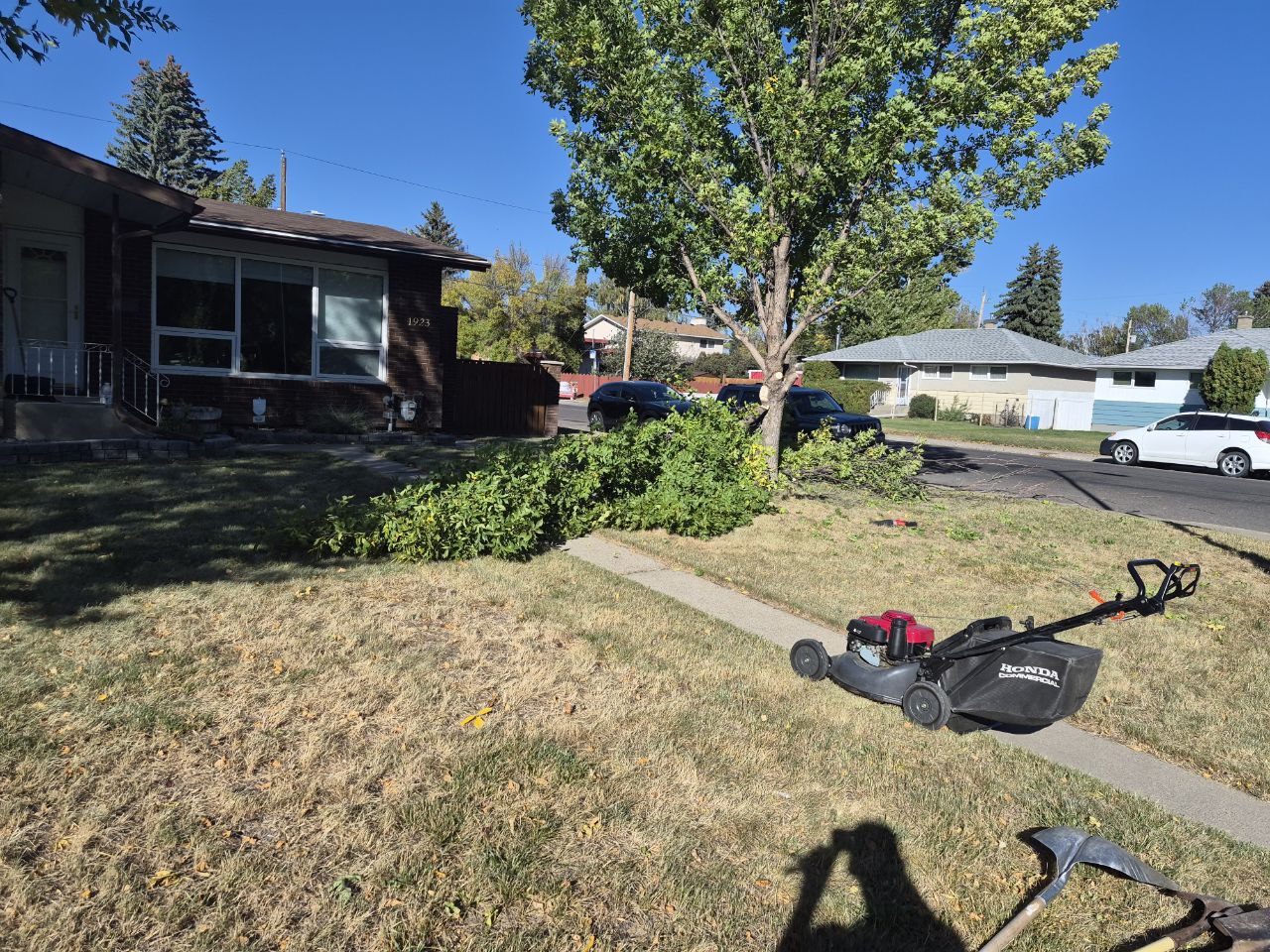 Spring & Fall Clean-Ups Process