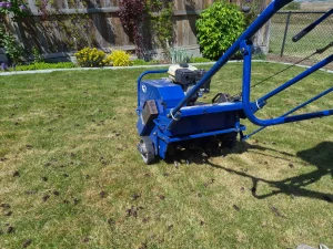 Lawn aeration service in Lethbridge