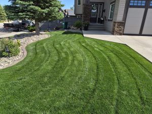 Professional lawn mowing in Lethbridge, Alberta