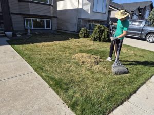 Seasonal Grounds power raking service in Lethbridge
