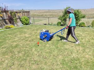 Core aerator treating a lawn in Lethbridge