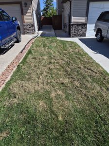 Lawn dethatching and power raking in Lethbridge