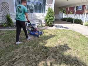 Professional lawn power raking in Lethbridge